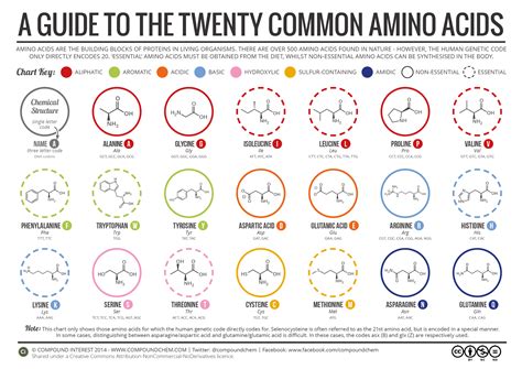 avmino|Amino.